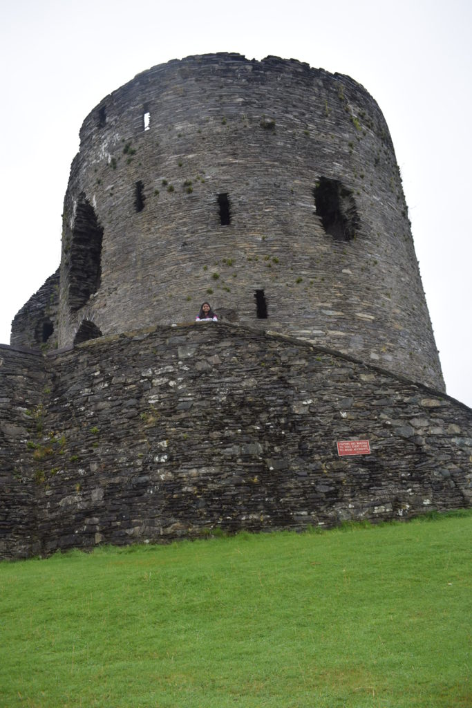 Dolbardn castle