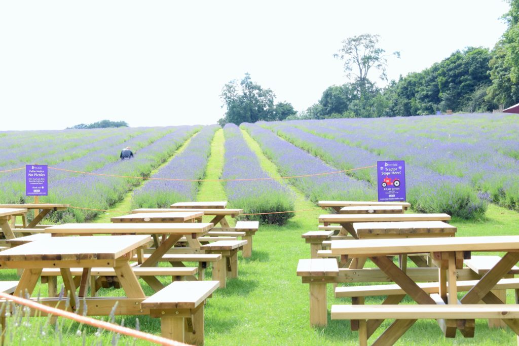 Refreshing benches in farm