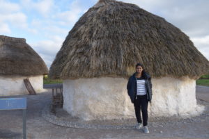 Neolithic houses