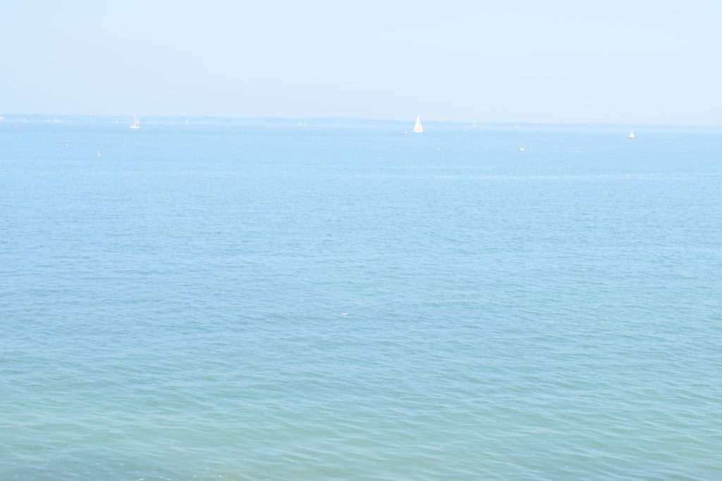 Scenic view of Beach