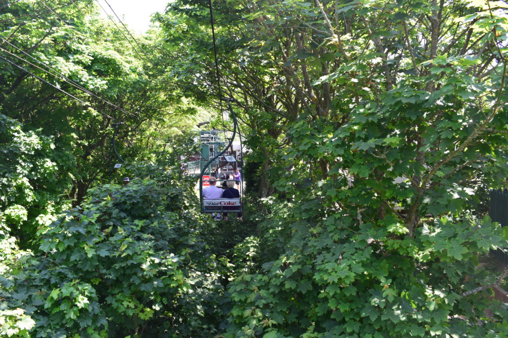 View 1 from the chairlift