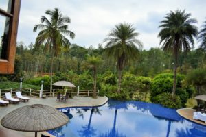 View from GARNARY restaurant of Resort