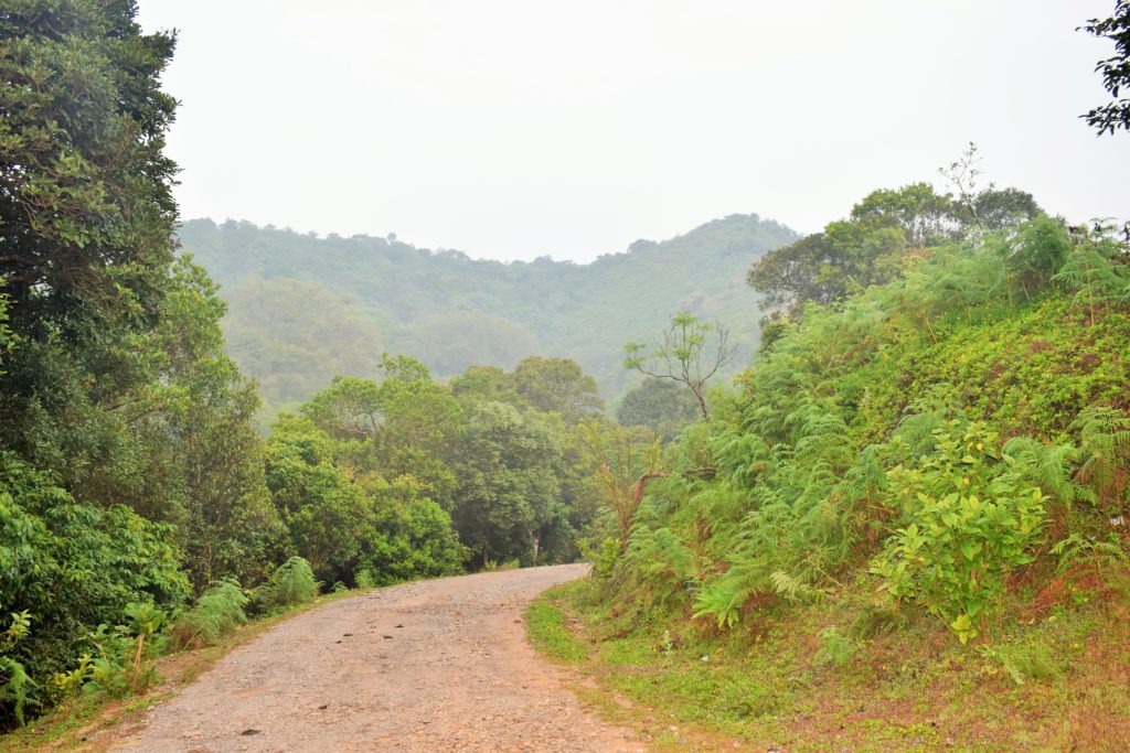 Roads to Betta Byraveshwara Temple