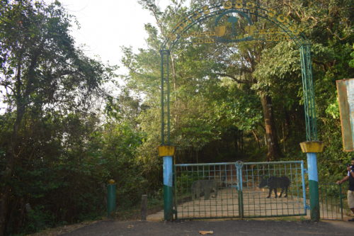 Entry gate to Bisle Ghat view point