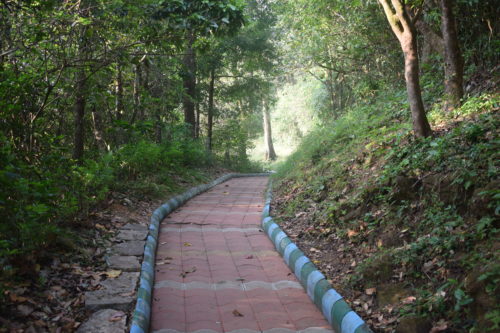 Path to Bisle view Point