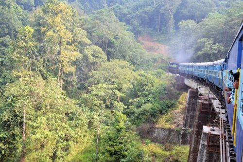 Mesmerising Green Route View