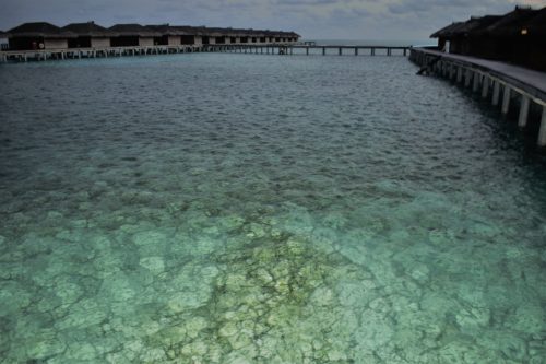 Crystal clear water in evening